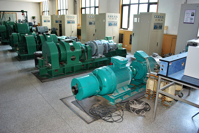 国营岭门农场某热电厂使用我厂的YKK高压电机提供动力